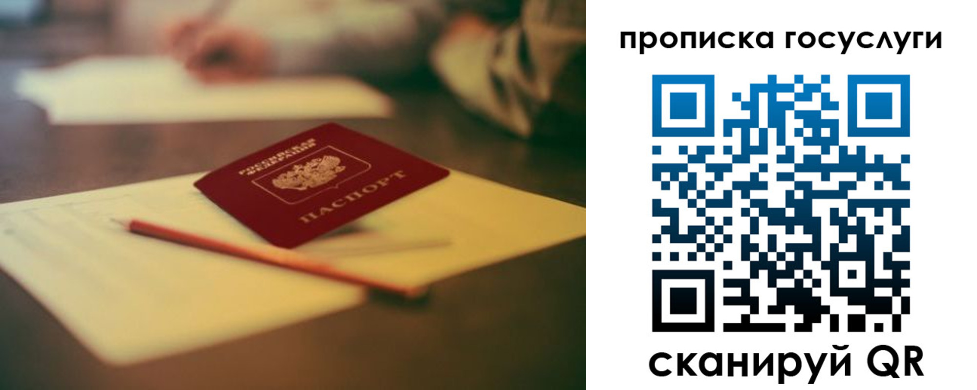 прописка для школы в Новомосковске
